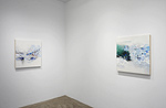 Reed Danziger, installation 4