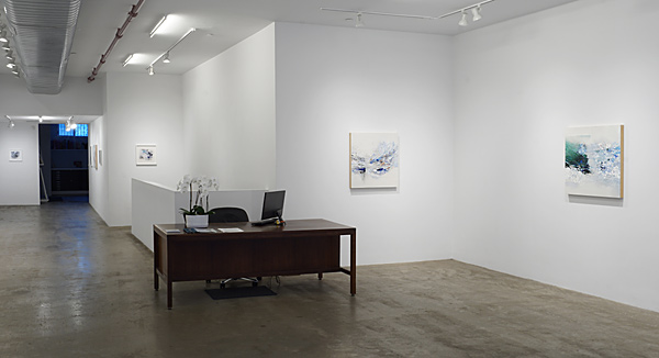 Installation View 2024 5