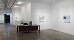 Reed Danziger, installation 5