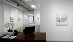 Reed Danziger, installation 6