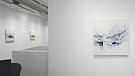 Reed Danziger, installation 7