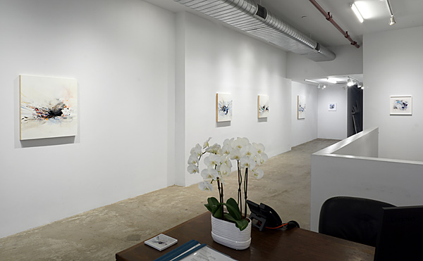 Installation View 2024 8