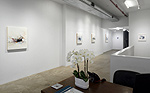 Reed Danziger, installation 8