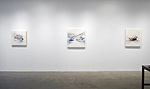 Reed Danziger, installation 9