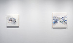 Reed Danziger, installation 10