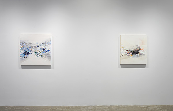 Installation View 2024 11