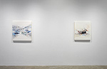 Reed Danziger, installation 11