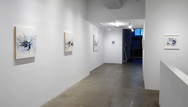 Installation View 2024 12
