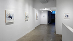 Reed Danziger, installation 12