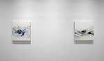 Reed Danziger, installation 13