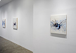Reed Danziger, installation 14