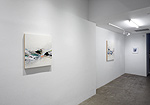 Reed Danziger, installation 15