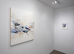Reed Danziger, installation 16