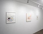 Reed Danziger, installation 17