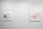 Reed Danziger, installation 18