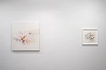 Reed Danziger, installation 19