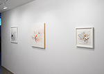 Reed Danziger, installation 20