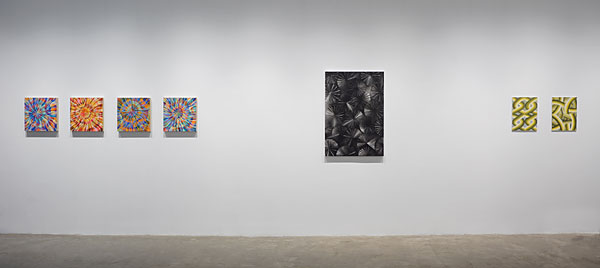 Installation View 2026 6