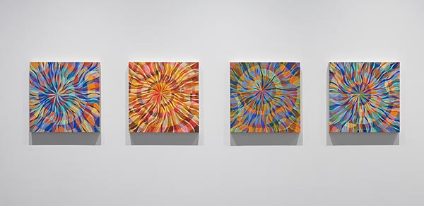 Installation View 2026 7