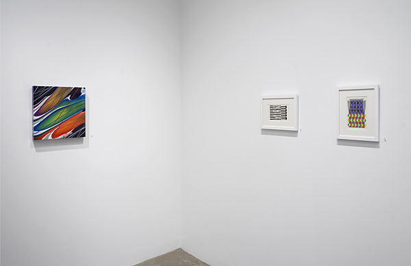 Installation View 2024 8