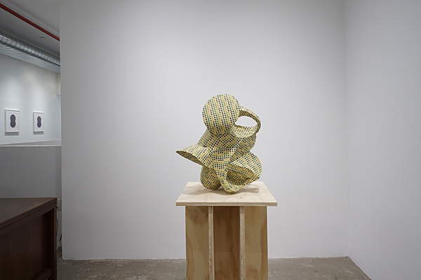 Installation View 2023 10