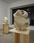 Step by Step, installation 15