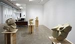 Step by Step, installation 2