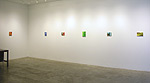 Altoon Sultan, 2014 installation 2