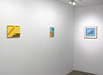 Altoon Sultan, installation 14