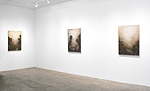 Tom Leaver, installation 1