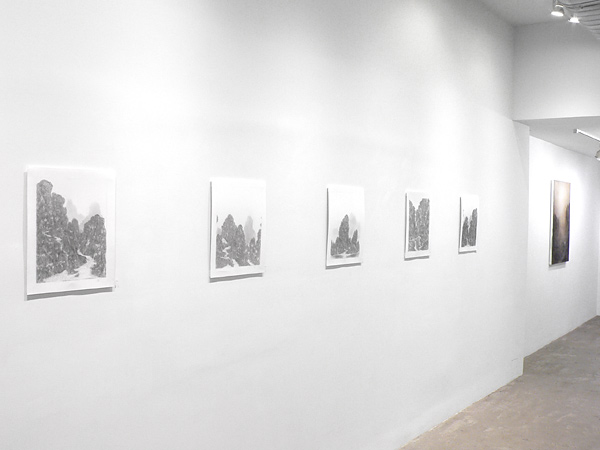 Installation view 2021 6