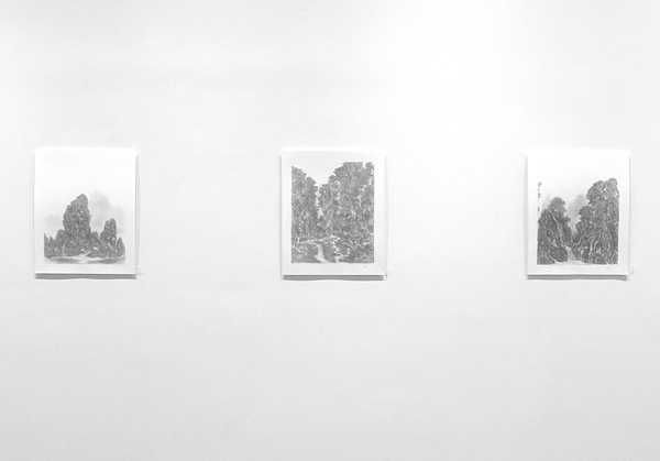 Installation view 2021 7