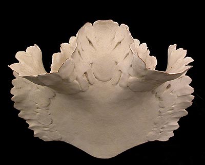 White Envelope Form