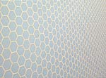 Sara Eichner, Fence