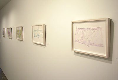 Installation view 2013 13