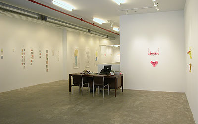 Installation view 2013 4