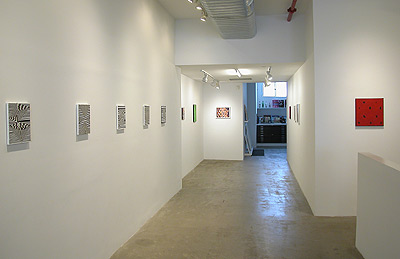 Installation view 2015 8