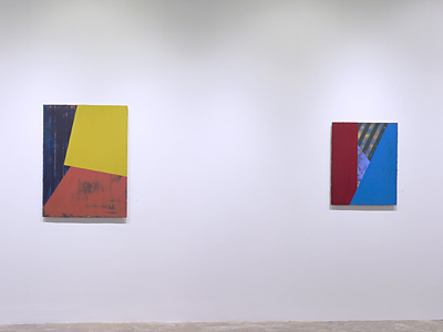 Installation view 2017 8