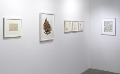 Installation View 2019