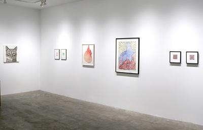 Installation View 2019 1