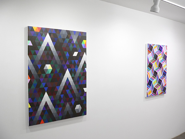 Installation View 2020 14