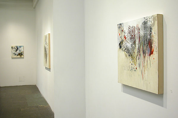 Installation view 2012 3