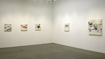 Installation view 2012 6