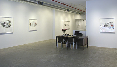Installation view 2013 4