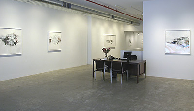 Installation view 2013 4