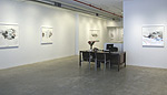 Reed Danziger, 2013 installation 4