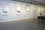 Reed Danziger, 2013 installation 5