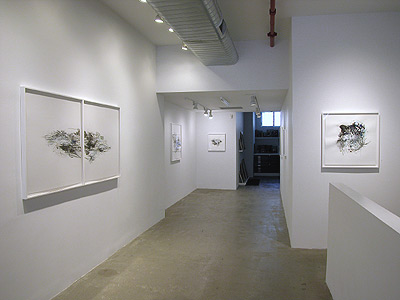 Installation view 2013 6