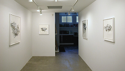 Installation view 2013 7