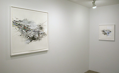 Installation view 2013 8